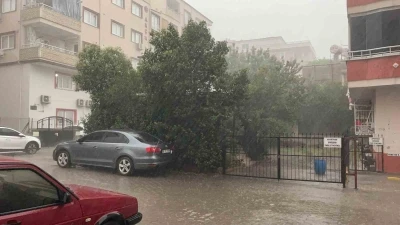 Osmaniye&rsquo;de fırtına ağa&ccedil;ları k&ouml;k&uuml;nden s&ouml;kt&uuml;
