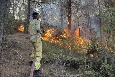 Osmaniye&rsquo;deki orman yangını 1 saatte s&ouml;nd&uuml;r&uuml;ld&uuml;