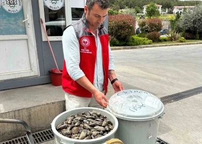 Otob&uuml;s&uuml;n bagajında &ccedil;&ouml;p kovasında taşınan 100 kilo midyeye el konuldu
