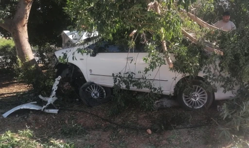 Otomobil ağaca vurdu, s&uuml;r&uuml;c&uuml; yaralı kurtuldu
