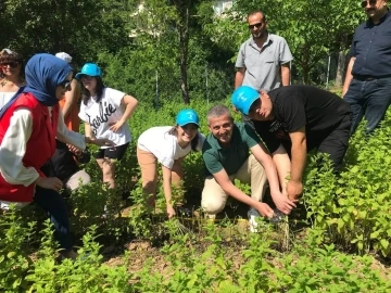&Ouml;zel &ccedil;ocuklar sebze ve aromatik bitki yetiştiriyor
