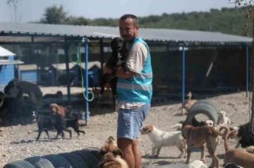 (&Ouml;zel) Pandemide dost ve arkadaş olan cins k&ouml;pekler kaderine terk edildi, y&uuml;zlerce &uuml;retim &ccedil;iftliği kapandı
