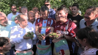 &Ouml;zg&uuml;r &Ouml;zel Arsin'de fındık bah&ccedil;esini ziyaret etti