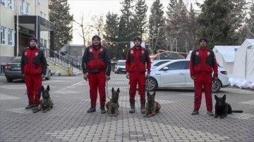 PAK b&uuml;nyesindeki 4 arama kurtarma k&ouml;peği 74 kişinin kurtarılmasını sağladı