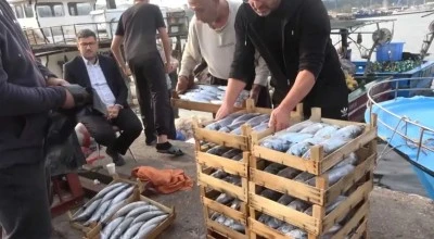 Palamatun kasası 600 TL'den satıldı