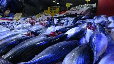 Palamut 90 TL'ye d&uuml;ş&uuml;nce vatandaş tezgahlara akın etti