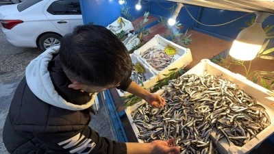 Palamut G&uuml;rcistan'a ka&ccedil;ınca tezgahlar hamsiyle doldu