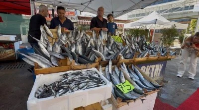 Palamut sezonu 100 liradan başladı