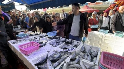Palamut ve hamsiye yoğun ilgi