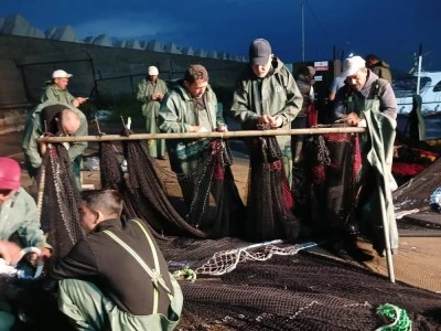 Palamut yoğunluğuna ağlar dayanamadı