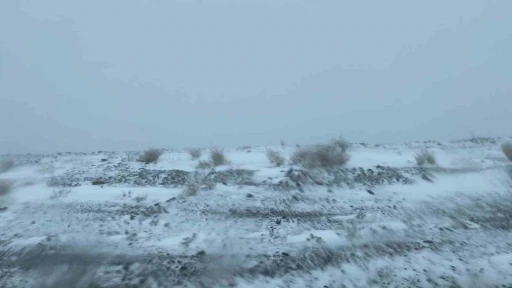 Paland&ouml;ken beyaza b&uuml;r&uuml;nd&uuml;
