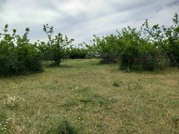 Par&ccedil;alanmış cesede ilişkin 2 ş&uuml;pheli tutuklandı
