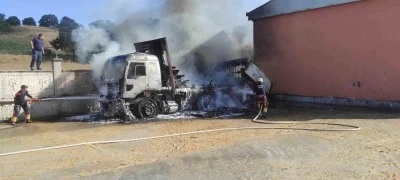 Park halindeki kamyonda &ccedil;ıkan yangın otluk alana sı&ccedil;radı