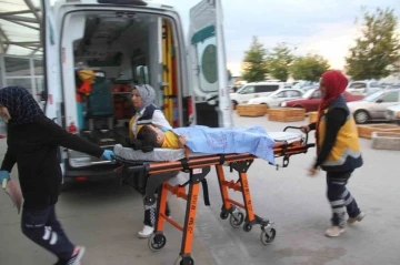 Parkta k&ouml;peklerin saldırısına uğrayan &ccedil;ocuk hastanelik oldu