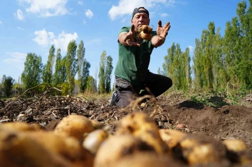 Patatesteki y&uuml;ksek rekolte &ccedil;ift&ccedil;iye maniler t&uuml;rk&uuml;ler s&ouml;yletti
