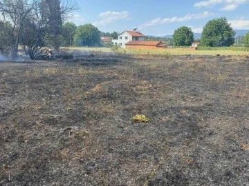 Pazaryeri&rsquo;nde &ccedil;ıkan arazi yangını korkuttu
