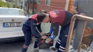 Pendik&rsquo;te yaralı halde bulunan atmaca tedavi edildi
