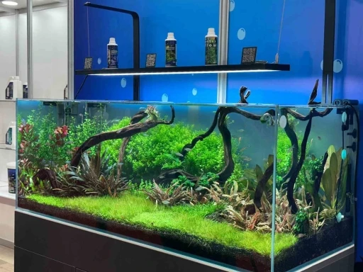 Pet sekt&ouml;r&uuml; ithalatını azaltmayı hedefliyor
