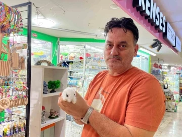 Pet shop&rsquo;lardan alınan hayvanlar geri getiriliyor
