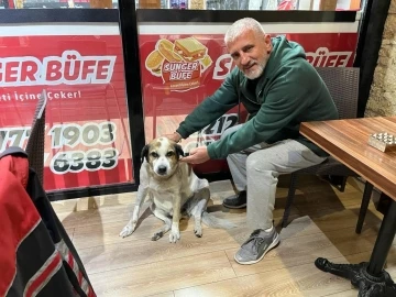 Pitbull'unu sokak k&ouml;peklerine saldırttı,  tepki g&ouml;sterenlere bı&ccedil;ak &ccedil;ekti