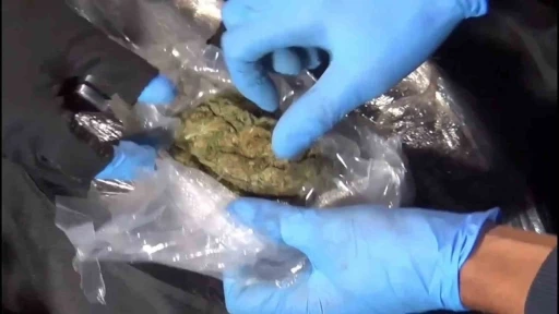 Polisten uyuşturucuya b&uuml;y&uuml;k darbe, 73 kilo skunk maddesi ele ge&ccedil;irildi
