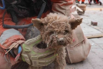 Polonya&rsquo;daki doğal gaz patlamasında 2 kişi cansız bedenine ulaşıldı
