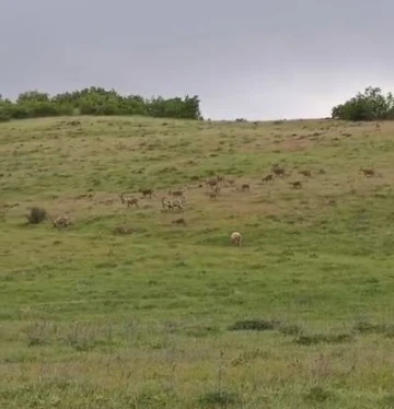 Pop&uuml;lasyondaki artış g&ouml;r&uuml;nt&uuml;lere de yansıyor
