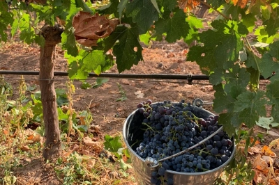 Posamas'tan Sekt&ouml;re Yeni Soluk