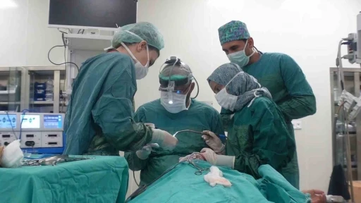 Prof. Dr. Abdulvahap Akyiğit: &ldquo;Baş ve boyun kanserinde erken tanı hayat kurtarır&rdquo;
