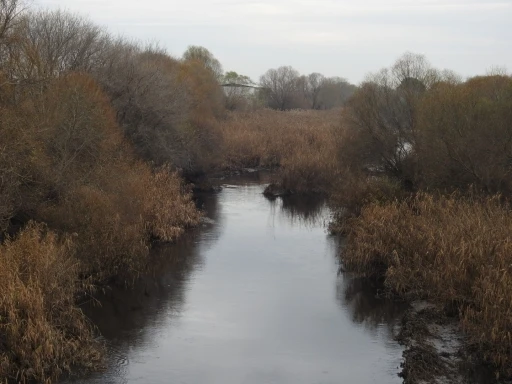 "2025 Gediz Nehrinin en az kirletileceği yıl olacak"
