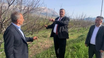 "Ceviz ağa&ccedil;ları kurudu, elma &uuml;retiminde devasa kayıplar"