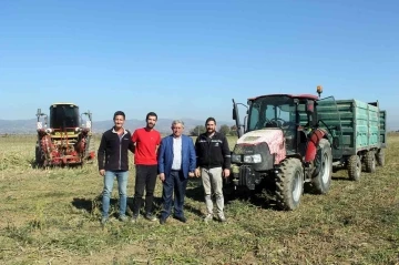 '&Uuml;lkemize yetecek kadar pirin&ccedil; ve şeker var!'