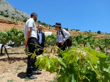 "T&uuml;rkiye&rsquo;de Tarıma Dayalı Sanayi&rsquo;de Rekabet G&uuml;c&uuml;n&uuml;n Artırılması Projesi" faaliyetleri başladı

