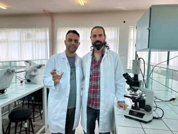 "Uğur b&ouml;ceği &ouml;r&uuml;mceği zehirsiz"
