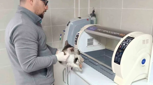 Rize&rsquo;de dereden kedi kurtarma operasyonu
