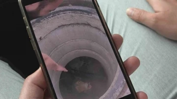 Bursa&rsquo;da r&ouml;gara d&uuml;şen k&ouml;peği b&ouml;yle kurtardı...