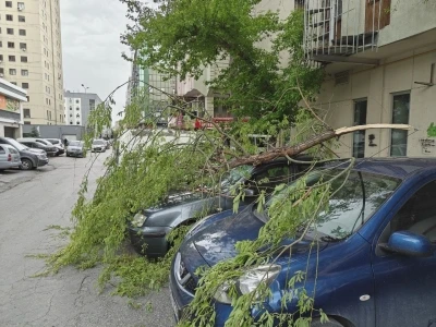R&uuml;zgarda kırılan ağa&ccedil; dalı otomobillerin &uuml;zerine d&uuml;şt&uuml;
