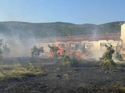 R&uuml;zgarın etkisiyle kopan elektrik telleri yangına neden oldu