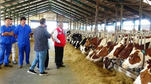 Sağlam: &ldquo;Hayvancılık sekt&ouml;r&uuml;ne bir yılda 57 milyon 289 bin TL destek&rdquo;
