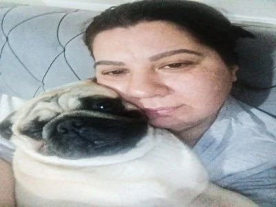 Sahibinin tatile &ccedil;ıkarken pet otele bıraktığı &lsquo;Alf&rsquo; &ouml;ld&uuml;