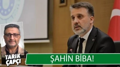 ŞAHİN BİBA!