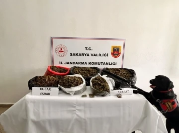 Sakarya&rsquo;da 21 kilo esrar ele ge&ccedil;irildi: 1 tutuklama
