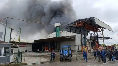 Sakarya&rsquo;da fabrika yangını
