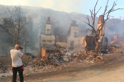 Sakarya&rsquo;dan Bilecik&rsquo;e sı&ccedil;rayan orman yangını; K&ouml;pr&uuml;cek k&ouml;y&uuml;nde 10 ev yandı
