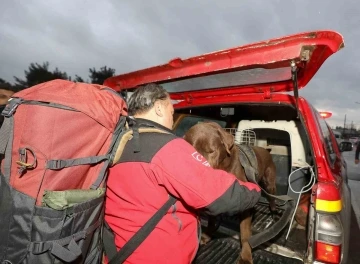 Sakarya&rsquo;dan deprem b&ouml;lgesine destek
