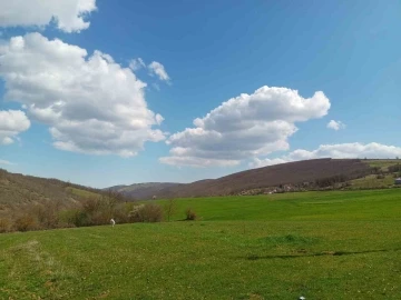&rsquo;Sakin, huzurlu bir hayat ve evlilik kalp hastalıklarından koruyor&rsquo;
