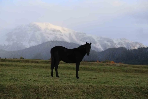 Sakin Şehir Şavşat&rsquo;tan sonbahar kareleri b&uuml;y&uuml;ledi
