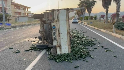 Salatalık y&uuml;kl&uuml; kamyonet devrildi: Salatalıklar yola savruldu
