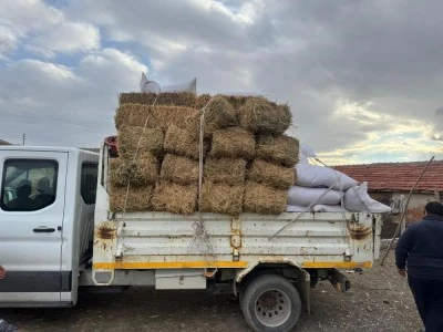 Saman fiyatları yarı yarıya geriledi