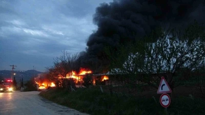 Samsun&rsquo;da muz deposunda yangın: Ekipler m&uuml;dahale ediyor
